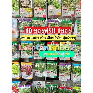 เมล็ดผักสวนครัวราคาถูก☘️ซองฉลาด☘️NNตราศรแดงมีให้เลือกหลายชนิด พันธุ์ดี งอกดี ผลผลิตดีปังปัง🌶🥬