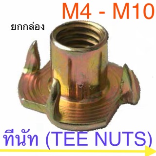 ทีนัท หัวน็อตไม้ ยกกล่อง M4 - M10