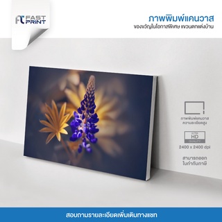 ภาพพิมพ์แคนวาสพรีเมี่ยม รูปดอกไม้ ธรรมชาติ ตกแต่งบ้าน ความละเอียดสูง 2400x2400dpi