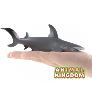 Animal Kingdom - โมเดลสัตว์ ฉลามหัวฆ้อน ขนาด 17.00 CM (จากสงขลา)