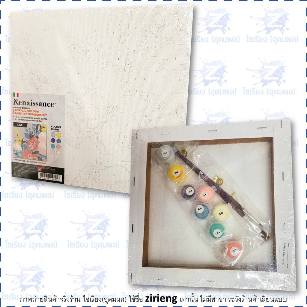 ชุดแคนวาส ระบายสีตามตัวเลข Renaissance Paint by Number Kit