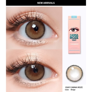 Canna Roze daily 1day idollens คอนแทคเลนส์เกาหลี  รายวัน สี beige