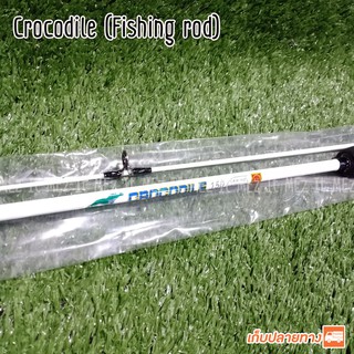 คันเบ็ดตกปลา คันตัน หน้าดิน คันตันหยง Crocodile Action : Medium Spinning