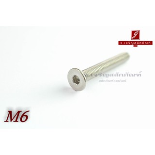 น็อตหัวจมเตเปอร์สแตนเลส M6x45