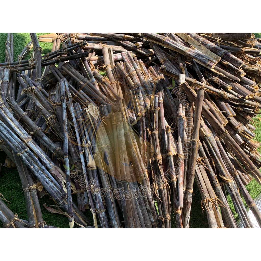 ชาอ้อยแดง อ้อยดำ ใบเตย (Black Sugarcane with Pandan Leaves) ยาอายุวัฒนะ แก้ร้อนใน บำรุงกำลัง - รูปที่ 2
