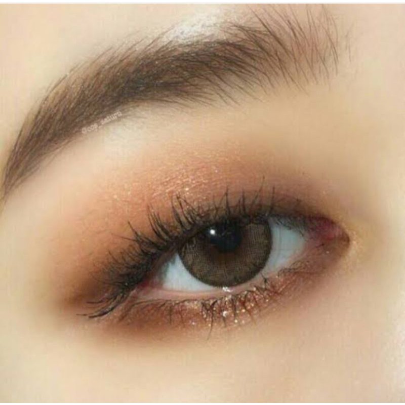 Zaria DREAM สี SAHARA BROWN