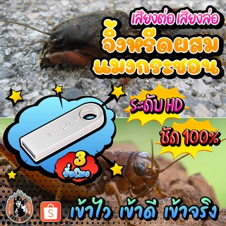 เสียงต่อเสียงล่อ แมงกระชอนผสมเสียงจิ้งหรีด แฟลชไดร์ฟเสียงแมงกระชอนผสมจิ้งหรีด ไม่มีโฆษณาแทรก พร้อมส่ง! มีเก็บเงินปลายทาง