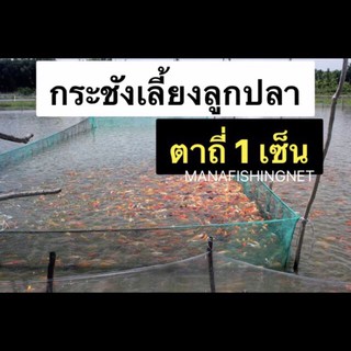 #กระชัง ตาถี่ 1 เซ็น 📌ขนาด 3x6 เมตร ลึก 1.8 เมตร 🅰️ แบบสำเร็จพร้อมกาง เนื้ออวนปั๊มเขียว 📌ไม่มีปม