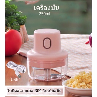 เครื่องปั่น รุ่น  2ใบมี 250ml  USB