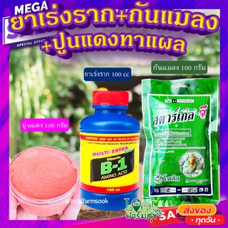 น้ำยาเร่งราก + สตาร์เกิลจี กันแมลง + ปูนแดงทาแผลต้นไม้ 🍃 ป้องกันโรคเน่าและเชื้อรา 100กรัม