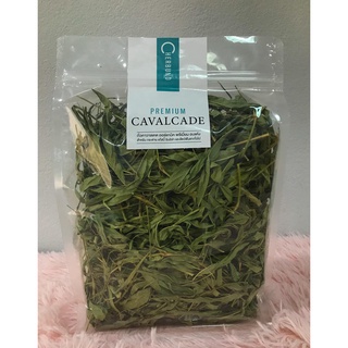 ใบถั่วคาวาเคต ออร์แกนิค พรีเมียม อบแห้ง Premium Cavalcade เขียวหอม 100 กรัม สำหรับสัตว์ฟันแทะ