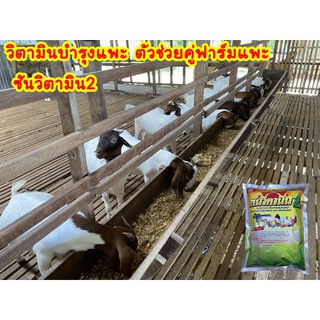 พรีมิกซ์แพะ พรีมิกซ์บำรุงแพะ เสริมวิตามินบำรุงแพะ ฟาร์มแพะใช้จริง ชุดนี้ 6 กิโล