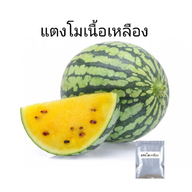 My Image 4