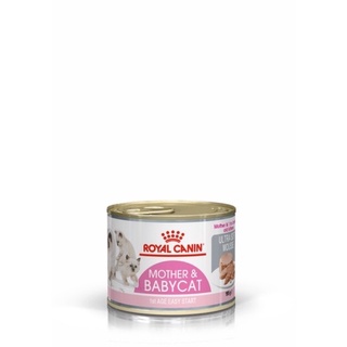 พร้อมส่ง Babycat Royal canin โรยัล เบบี้แคท กระป๋อง 195g