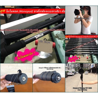 ขาตั้งกล้องขาเดียว ขนาดตั้งกล้องแบบสูง (monopod) ขนาดกะทัดรัดน้ำหนักเบา พกพาสะดวก