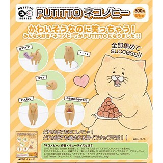 ✿ พร้อมส่งยกชุด ✿ Putitto แมวส้ม แมวอ้วน เกาะแก้ว