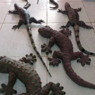 🦎ตุ๊กแกปลอม ขนาดใหญ่เท่าแขน(23นิ้ว)/ตัวเฮ้ยยาว28นิ้ว/ จระเข้22นิ้ว