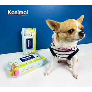 Kanimal Pet Wipes ผ้าเปียกเช็ดทำความสะอาดสัตว์เลี้ยง 🐶🐱