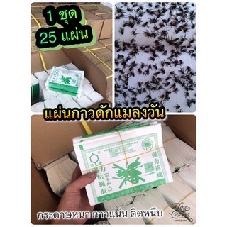 แผ่นกาวดักแมลงวัน คุณภาพสูง ราคาถูก กระดาษแข็ง กาวเหนียว ติดทนนาน