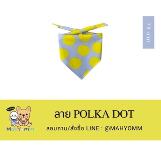ผ้าพันคอสุนัข ลาย polka dot สีเหลือง พื้นเทา