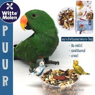 Puur parrot อาหารนกเกรดพรีเมียม ธัญพืชนกเกรดพรีเมียม สำหรับนกแก้วขนาดกลาง-ใหญ่ ซันคอนัวร์ แอฟริกันเกรย์ อาหารนก