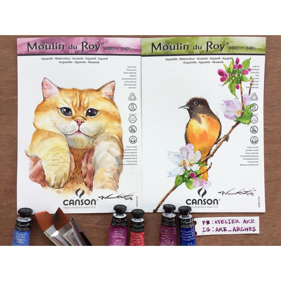 canson-moulin-du-roy-300-gsm-30-5-x-45-5-cm-20