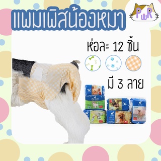 แพมเพิสสุนัข ตัวเมีย ผ้าอ้อมหมา แผ่นรองซับตัวเมีย PET SOFT female diaper [พพ]