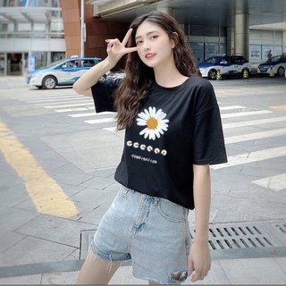 PA SHOP เสื้อแฟชั่นผู้หญิง oversize แขนสั้น สไตล์เกาหลี สวมใส่สบาย ลายดอกเดซี่ มี2สี