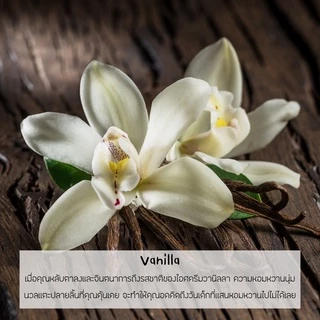 (มีฝาขายแยกนะคะ ☺️) เทียนหอม (กลิ่น Vanilla) เทียนหอมไขถั่วเหลือง 100%