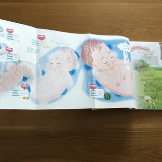 คู่มือตั้งครรภ์-คลอด สไตล์คุณแม่ญี่ปุ่น (Pregnancy & Childbirth Guide)