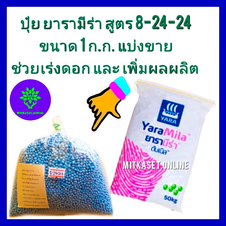 ปุ๋ยเร่งดอก ปุ๋ยยาร่า 8-24-24 แบ่งขายขนาด 1 กิโลกรัม ใช้เร่งดอก เร่งผล เร่งหวาน ช่วยให้ดอกสมบูรณ์ ผลใหญ่ รสชาติดี