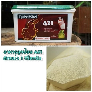 A21 อาหารลูกป้อนนก ( ตักแบ่ง 1 กิโลกรัม ) Nutribird A21 ฝาเขียว