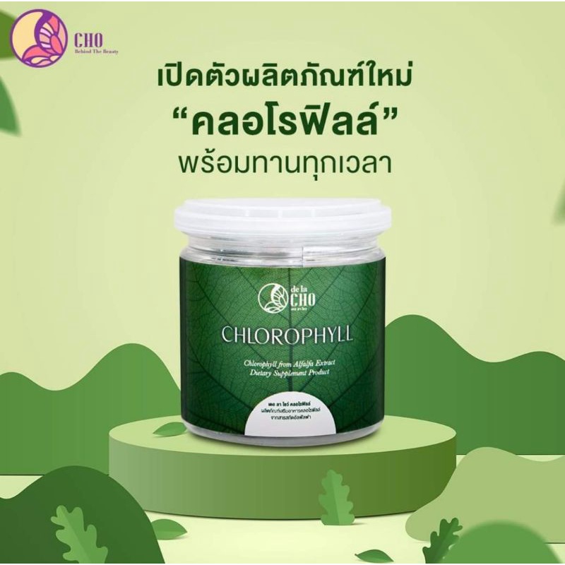 de la CHO CHLOROPHYLL คลอโรฟิลล์