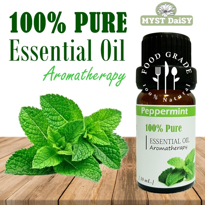 [10 mL.] Food Grade 100% Pure Essential Oil น้ำมันหอมระเหยเปปเปอร์มินท์ (Peppermint) 100%ไม่ผสม (ไม่