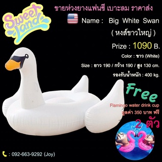 เบาะยาง หงส์ขาว🦢ตัวใหญ่ ราคาถูกสุดๆ