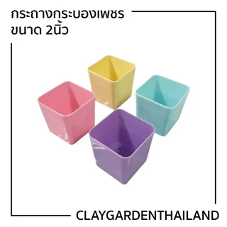 กระถางพลาสติก 2นิ้ว กระถางกระบองเพชร ขนาด 2นิ้ว