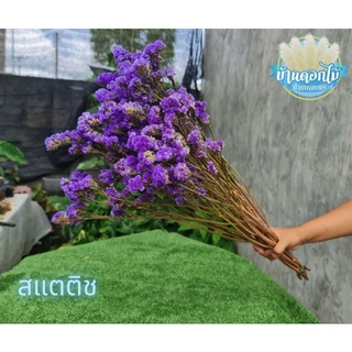 ดอกสเเตติช ดอกไม้แห้งคุณภาพ สีม่วง