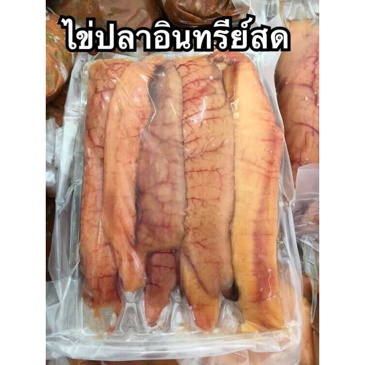 ไข่ปลาอินทรีย์ อาหารทะเลแห้ง