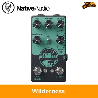 Native Audio Wilderness V1.5 Delay Made in USA