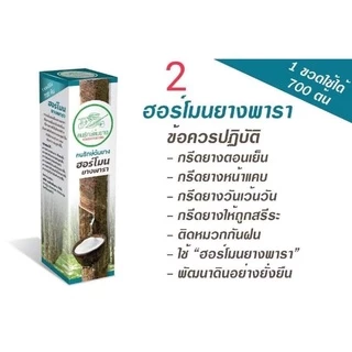 ฮอร์โมนยางพารา✅เพิ่มผลผลิต ✅ลดต้นทุน ✅ประหยัดแรงงาน