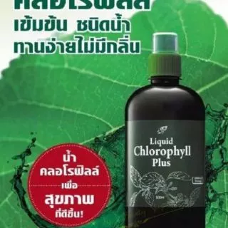 น้ำคลอโรฟิลล์​เข้มข้น ​คอสเวย์ ทานง่าย​​ -​ ​ Liquid​ Chlorophyll​ 500​ ​มล.​​ จากใบมัลเบอร์รี่​