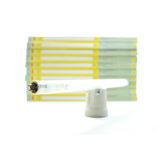 FLUORESCENT T5 RADIANT FT 8W/T5 350Lm CW 0814 FLUORESCENT T5