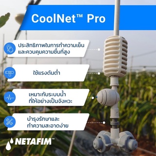 หัวพ่นหมอก Netafim เนต้าฟิม หัวพ่นหมอก 4 ทาง 0.6 mm. แบบสายยาวต่อกับท่อ PE