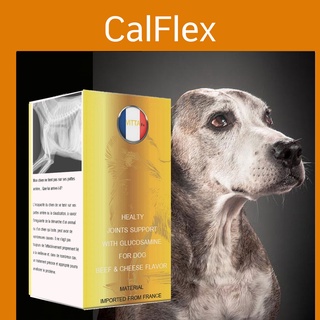 Calflex สุนัข pantip calflex pantip CalFlex pantip ยา Antinol สุนัข ราคา สมุนไพรรักษาโรคหัดสุนัข โรคหัดสุนัข ยาเขียว ยาแ