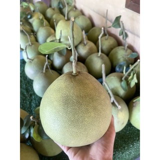 ส้มโอขาวน้ำผึ้ง(7~8ขีด/60)💁🏻‍♀️อัปเดต26ธค.68ความหวาน70-80% 📌…