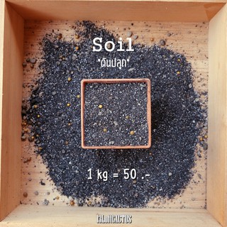 ดินปลูกแคคตัส 1 ลิตร (Soil)