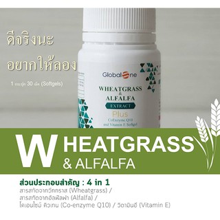 ผักเม็ดเสริมภูมิคุ้มกัน Wheatgrass &amp; Alfalfa Extract Plus