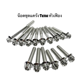 น็อตชุดแคร้งเทน่า ชุดแคร้งเฟืองเทน่า น็อตแคร้งเครื่องหัวเฟืองtena
