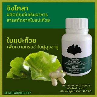 อาหารเสริมแป๊ะก๊วย Ginkola จิงโกลา สารสกัดแคปซูล กิฟฟารีน