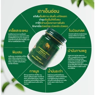 ยาหม่องเขียว ผสมเถาเอ็นอ่อน ตราช้างไทย
